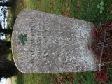image of grave number 806332